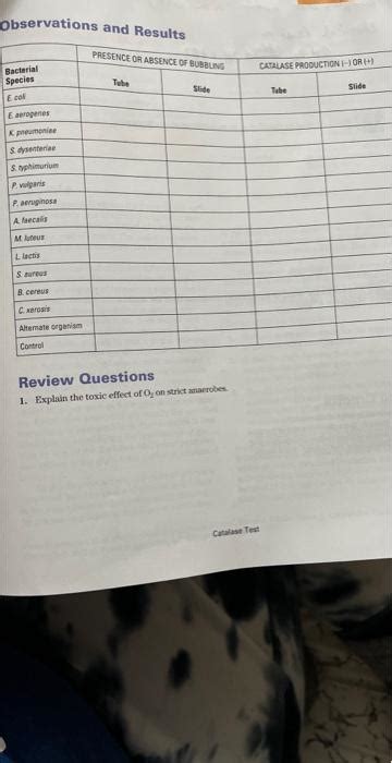 resulte universal|Resulté Universal Reviews .